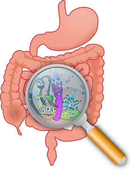 alternative Treatment for digestive problems in Mesa and Apache Junction,AZ!