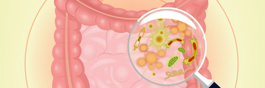 Alternative medicine in Globe,Apache Junction,Az