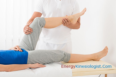 structural kinesiology