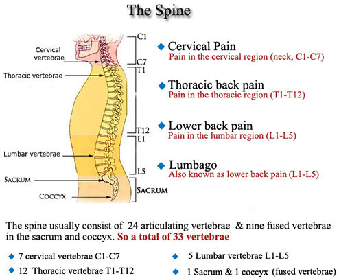 massage lower back pain relief in Apache Junction,AZ